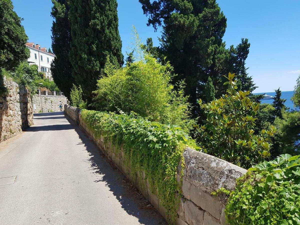 Villa Palmera Dubrovnik Exterior photo
